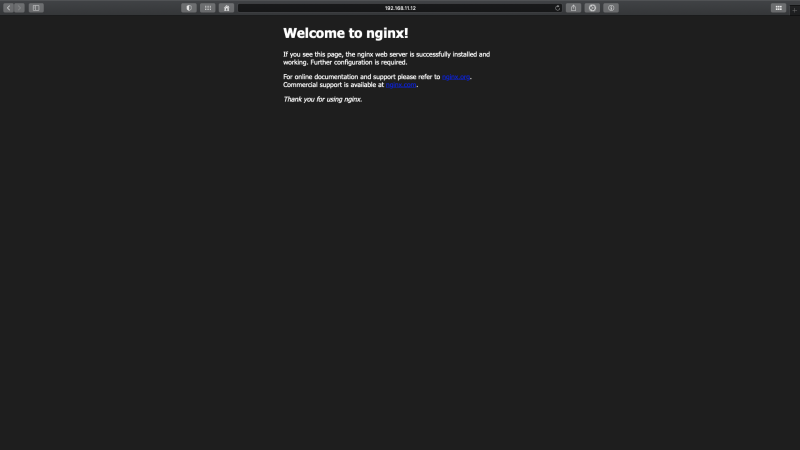 11_nginxstartwindow.png 11_nginxstartwindow.png