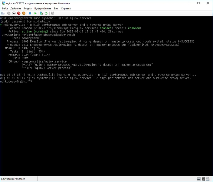 10_nginx_status.jpg 10_nginx_status.jpg