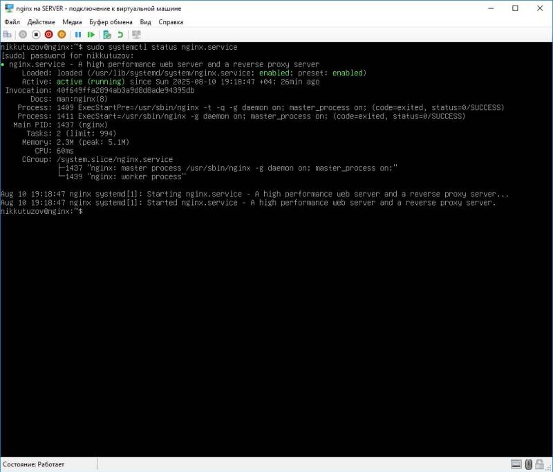 10_nginx_status.jpg 10_nginx_status.jpg