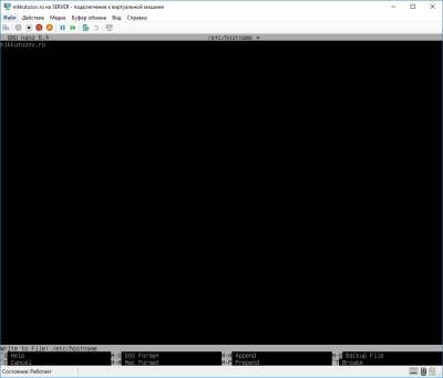 Hostname
