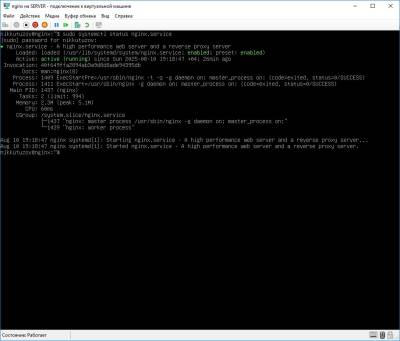 Проверка работоспособности nginx